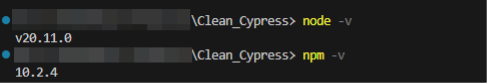 Showing versions of Node (20.11.0) and NPM(10.2.4)