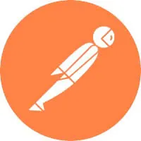 Postman icon