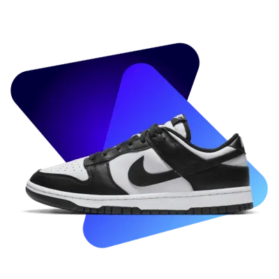 Nike Dunk shoe